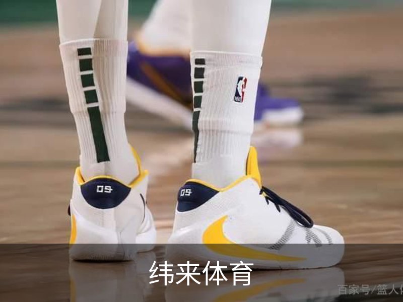 了解纬来体育